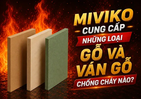 danh-sach-do-hoc-bong-csc-dai-hoc-trung-nam